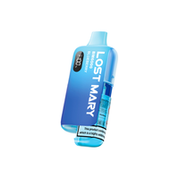 Lost Mary BM6000 Device