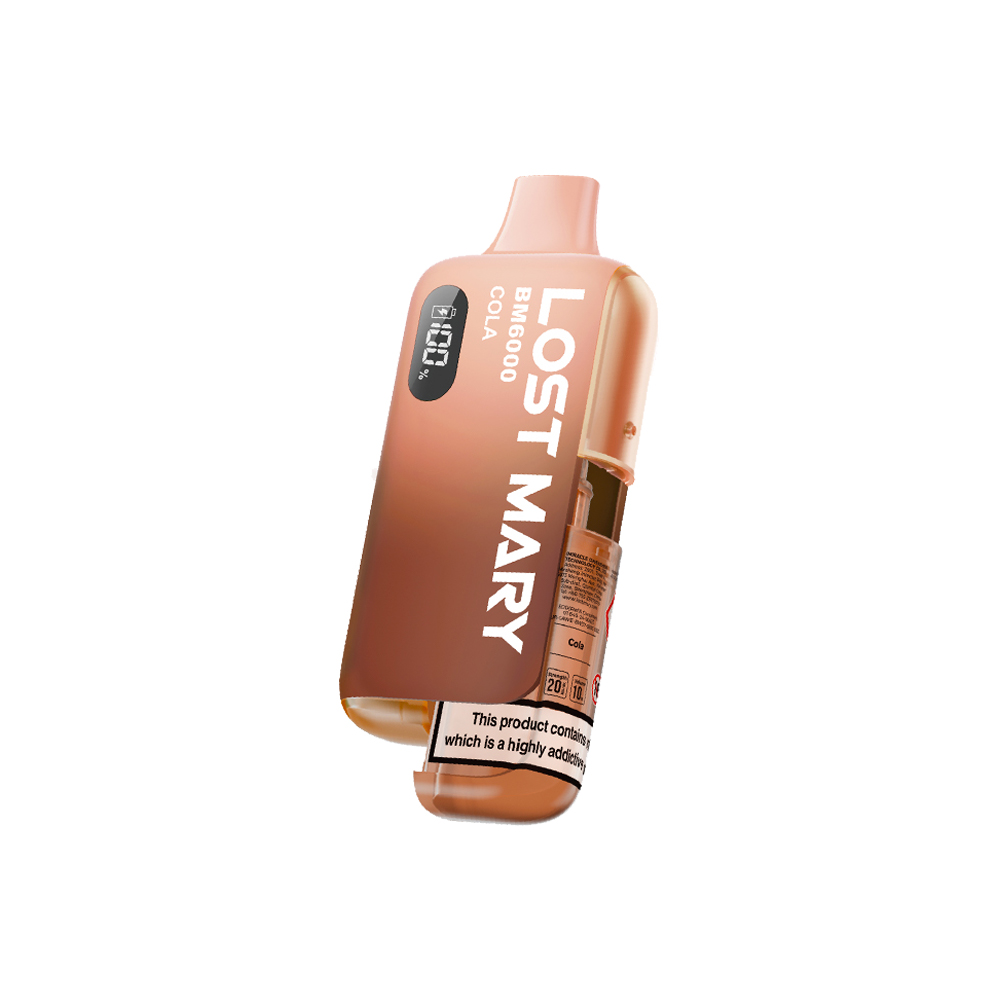 Lost Mary BM6000 Device