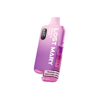 Lost Mary BM6000 Device