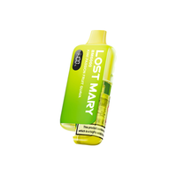 Lost Mary BM6000 Device