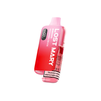 Lost Mary BM6000 Device